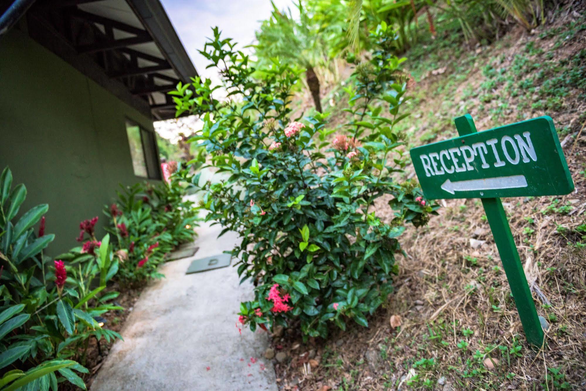 Tiki Villas Rainforest Lodge & Spa Uvita Exteriör bild